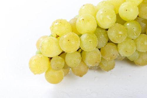 手指红提 蔬菜水果图片素材库中的精致选择