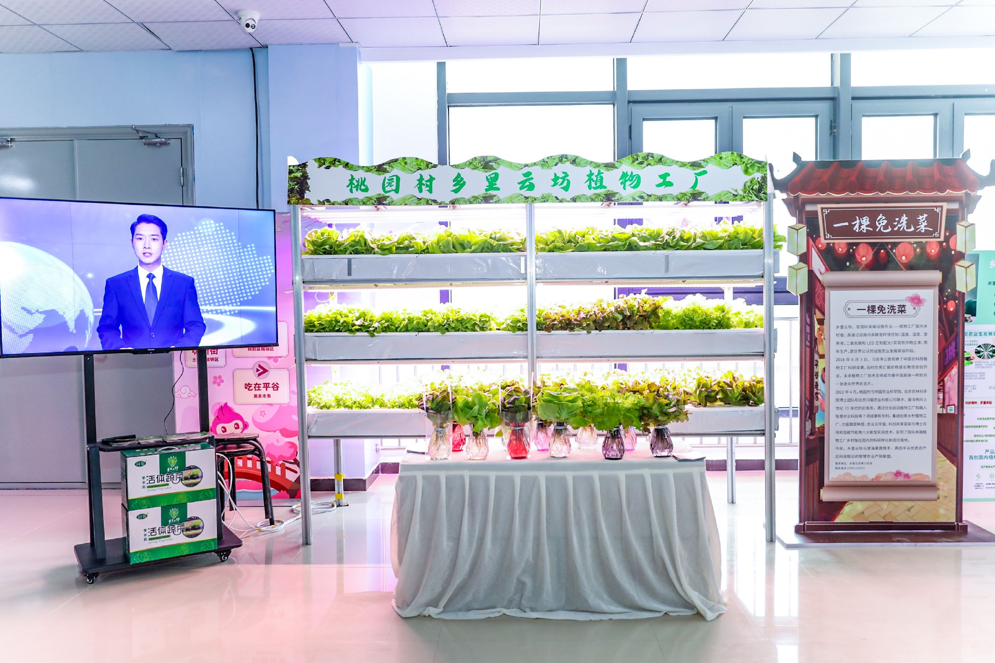 头茬鲜桃摆进桃花海！平谷土特产与蔬菜零售携手亮相