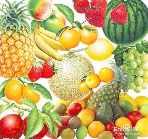 手作时光 精选果品自制健康水果茶片