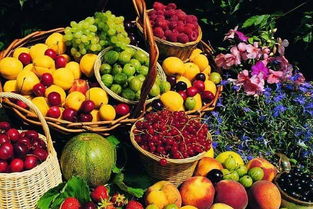 西双版纳特产之热带水果与蔬菜零售