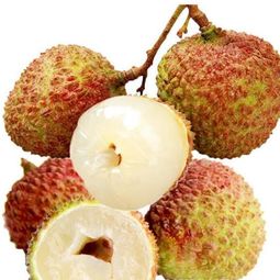 中国果品网 连接果品产业与消费者的桥梁