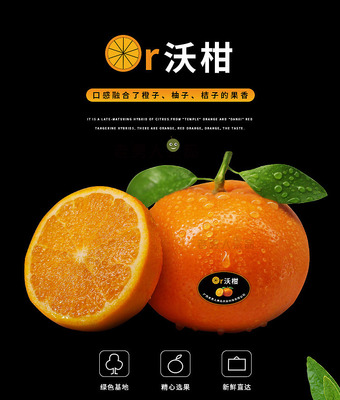 果菜新鲜到家 老男人果品沃柑包装与蔬菜零售体验