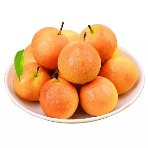 哈尔滨润恒城果品市场